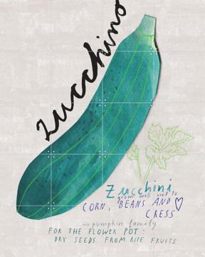 'Zucchini EN' van Signorinah