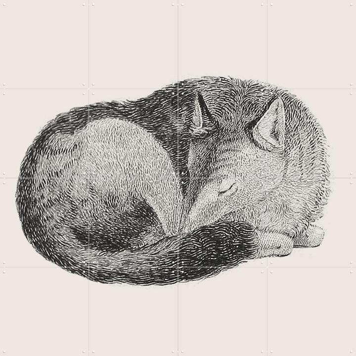 Sleeping Fox light