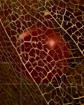 'Gevangen in een gouden kooi' by Marjolijn van den Berg