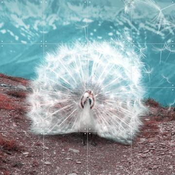 'Temporary Beauty' von Julien Tabet