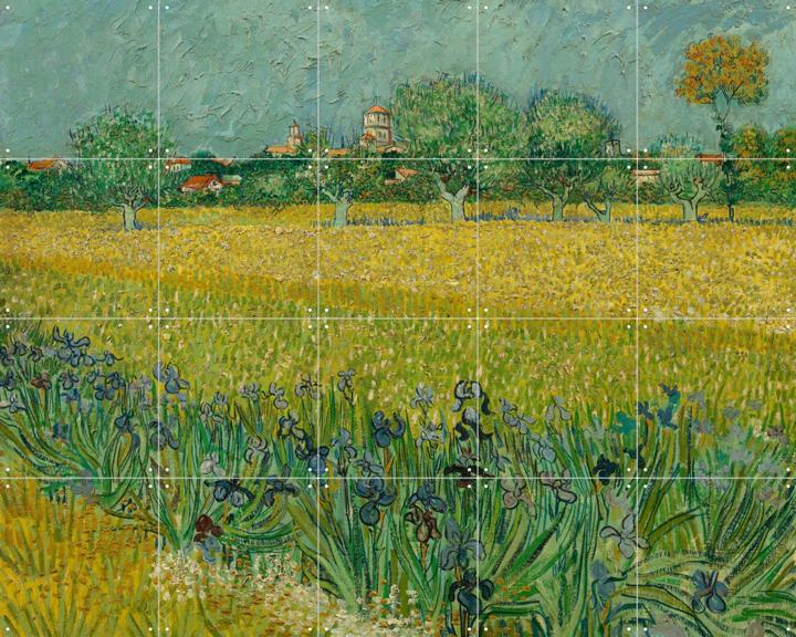 Field with Irises near Arles