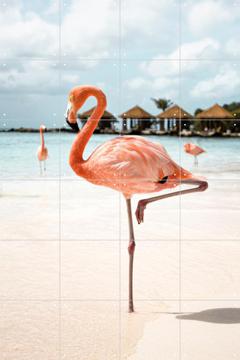 IXXI - Flamingo Beach by Henrike Schenk 