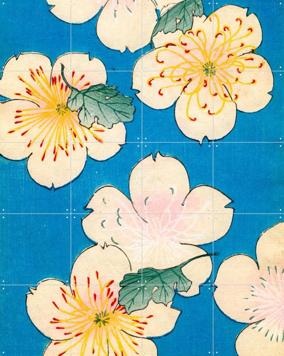 Dogwood Blossoms 1883