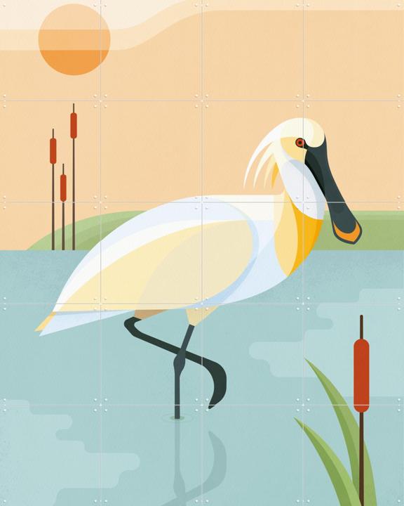 Spoonbill
