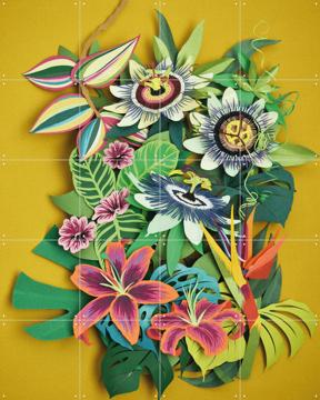 'Jungle' by Geertje Aalders