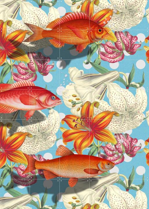 About Fish in Unexpected Places