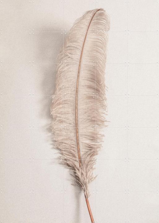 Feather