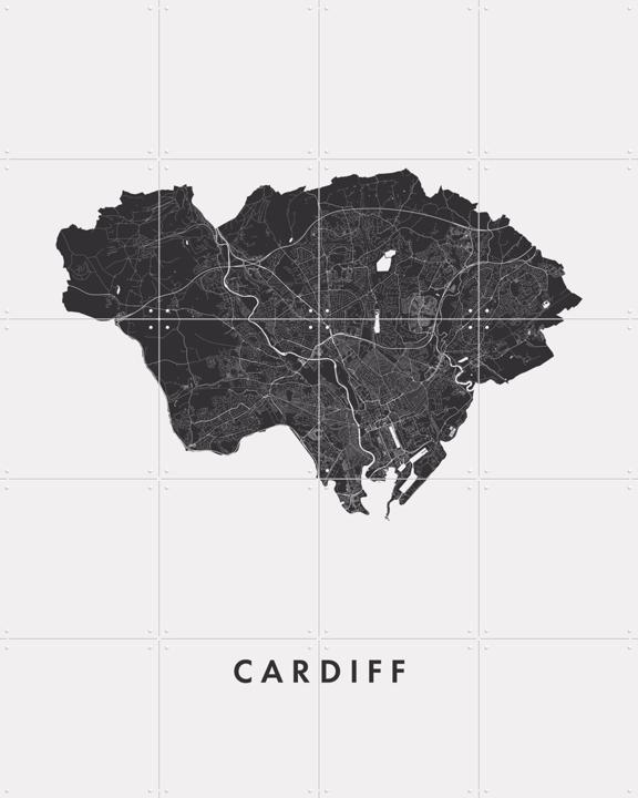 Cardiff City Map