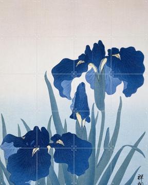 'Irisis' by Ohara Koson & Rijksmuseum