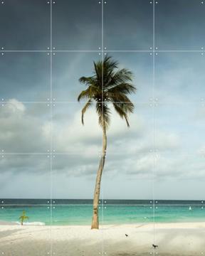 'Whispering Palm Above The Caribbean Silence' by Claire Droppert