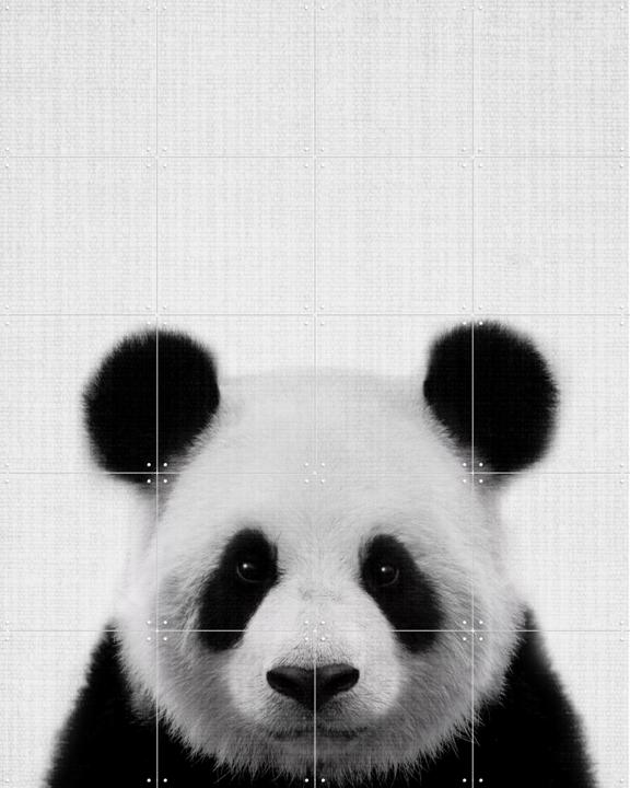 Print 61 Panda