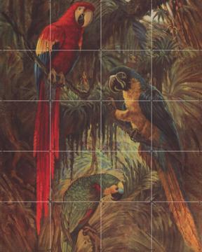 '3 Parrots' van Aster Edition