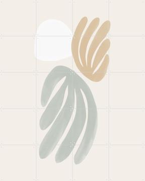 'Modern Coral II' by Bohomadic Studio