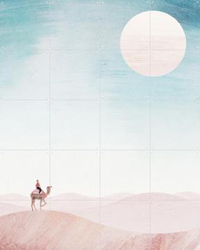 'Pink Desert' by Henry Rivers