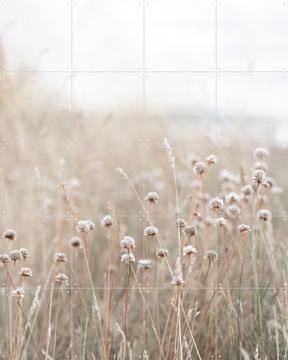 'Coastal Flowers' von Mareike Böhmer
