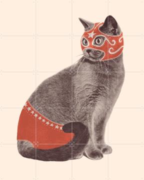 'Chat Catcheur' van Florent Bodart