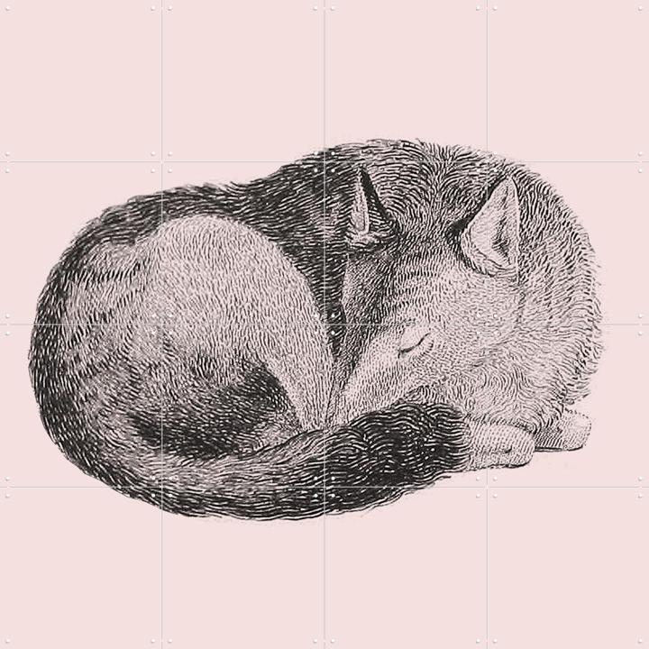 Sleeping Fox pink
