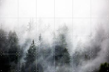 'Foggy Woods 6' van Mareike Böhmer