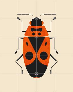 'The Firebug' von Studio Kars + Boom