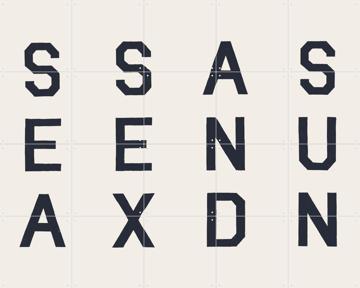 'SSAS' van Florent Bodart