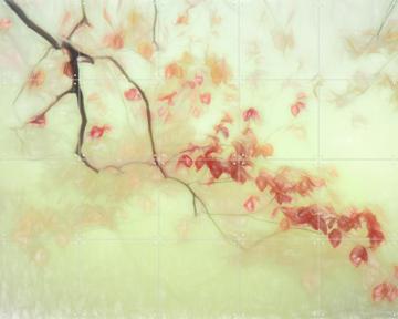 'Luce Dorata' von Gilbert Claes