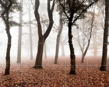 'Whispering' van Claire Droppert