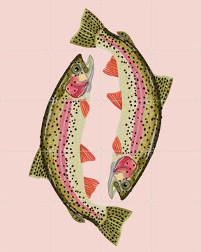 'Le Sardine' van Lotte Snoek