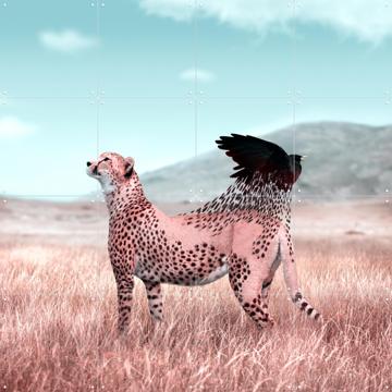 'New Flight' von Julien Tabet