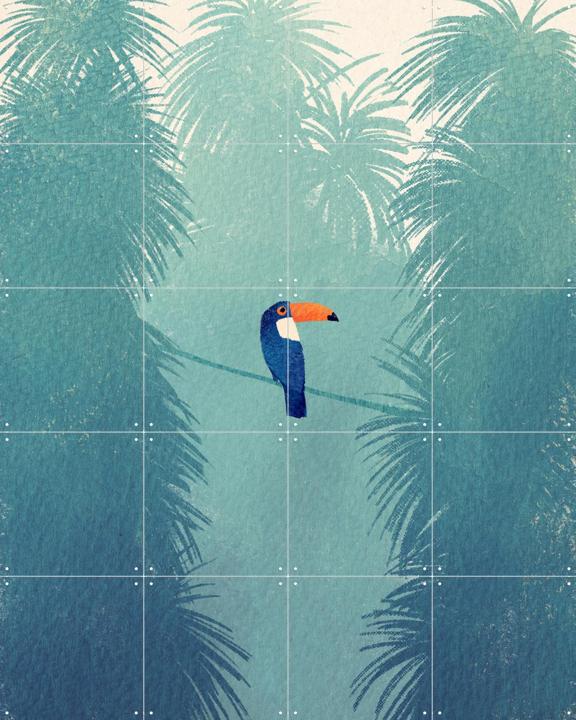 Toucan