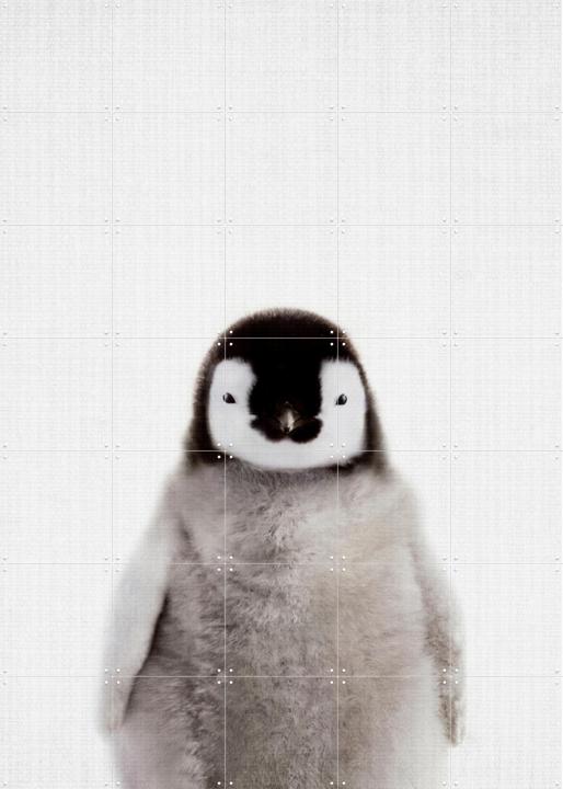 Print 362 Pinguin