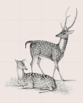 'Deer light' by IXXI