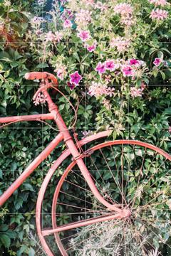 'Pink Bicycle' von Pati Photography