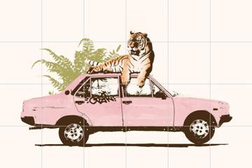 IXXI - Tiger on Car by Florent Bodart 