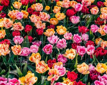 'Keukenhof' par Margriet Hulsker