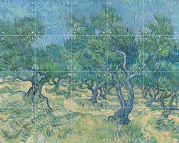 IXXI - Olive Grove by Vincent van Gogh & Kröller-Müller Museum