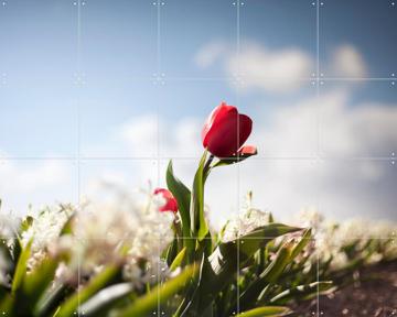 'Dutch Rebels Royalist' van Claire Droppert