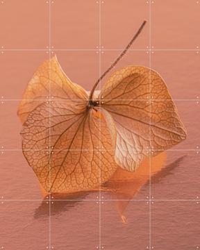 'Dancing Hydrangea Leaf Fragile and Vulnerable ' van Marjolijn van den Berg