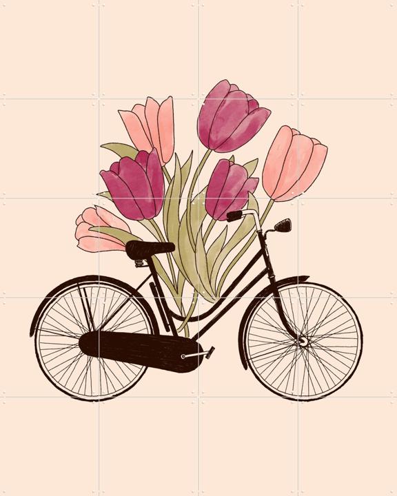 Bicycle Cities Amsterdam