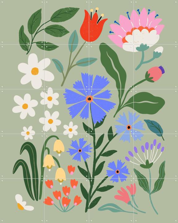 Cornflower Meadow