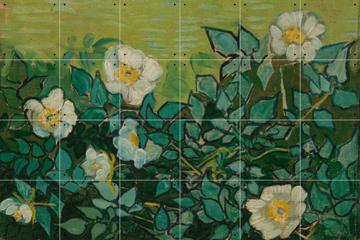 IXXI - Wild Roses by Vincent van Gogh & Van Gogh Museum