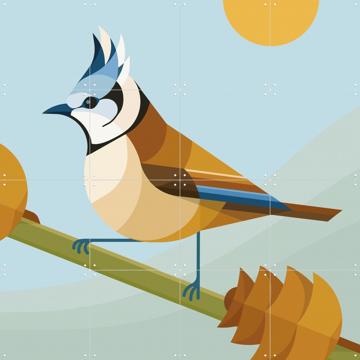 'Kuifmees' von Elke Uijtewaal