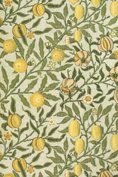 'Fruit yellow' by William Morris & Victoria and Albert Museum