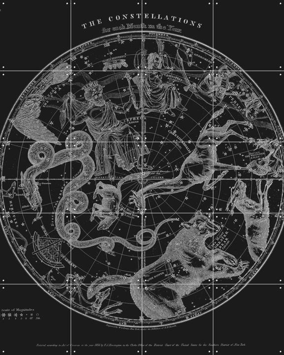 The Constellations black