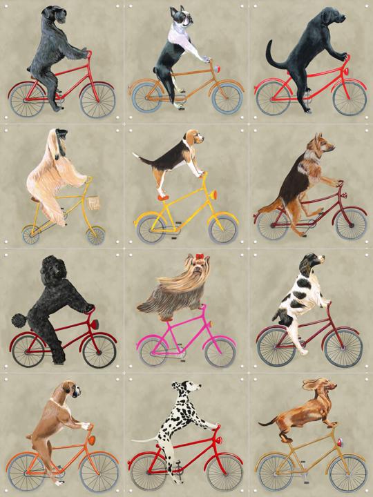 Dogs on Bicycles Collage Box