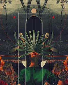 'She saw the Equator' by Frank Moth