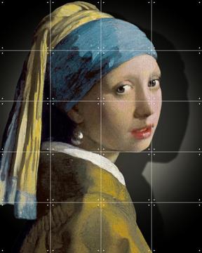 'Meisje met de parel - the simply shaded edition' van Marja van den Hurk