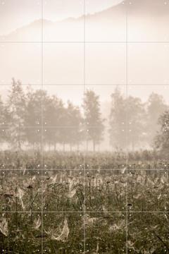 'Foggy Morning' van Mareike Böhmer