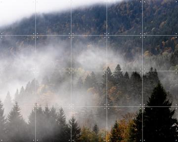 'Foggy Woods 9' von Mareike Böhmer