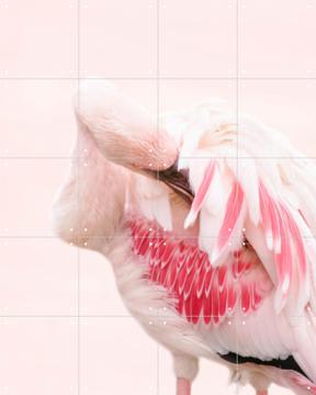 IXXI - Pink Flamingo by Ingrid Beddoes 