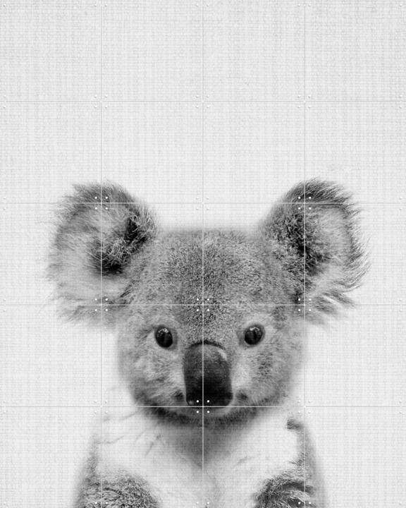 Print 67 Koala